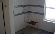 elett-homes-shower-designs-2